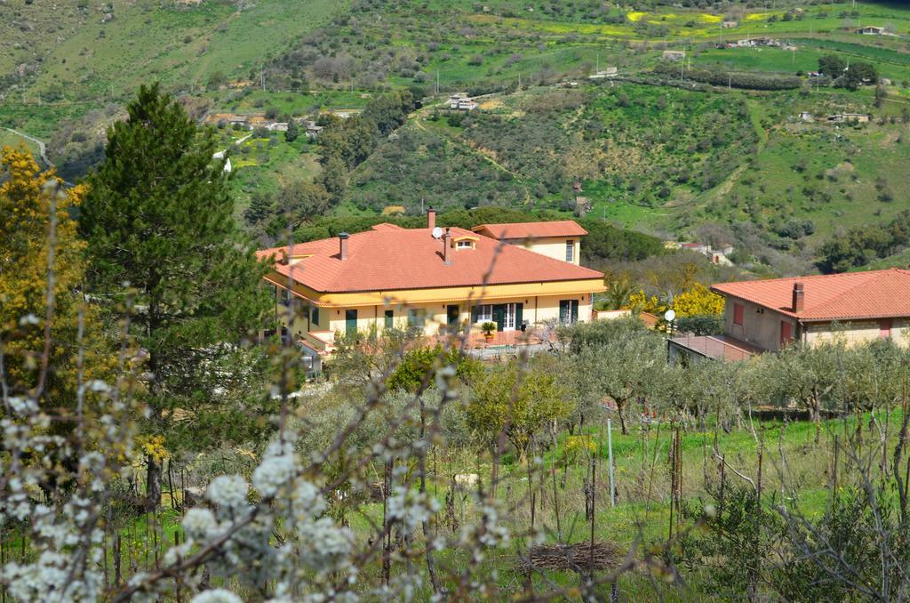 Villa Della Mimosa Алия Экстерьер фото